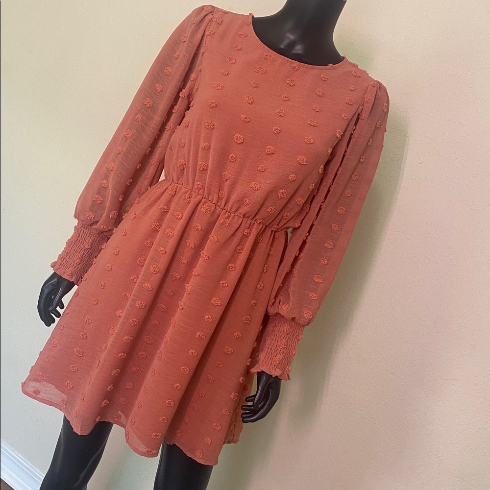 Paper Crane Coral Swiss Dot Babydoll Dress Long Sleeve Boho Romantic